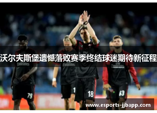 沃尔夫斯堡遗憾落败赛季终结球迷期待新征程