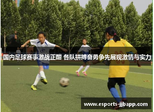国内足球赛事激战正酣 各队拼搏奋勇争先展现激情与实力