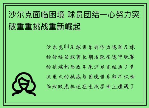 沙尔克面临困境 球员团结一心努力突破重重挑战重新崛起