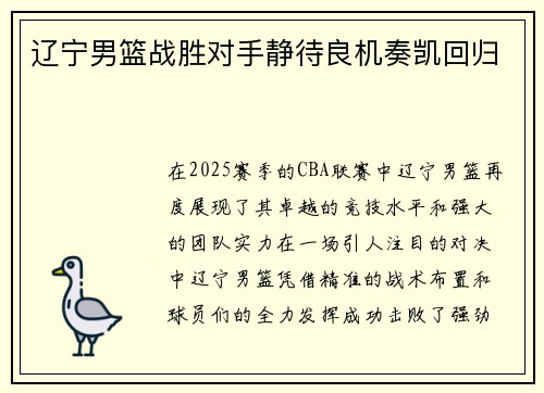 辽宁男篮战胜对手静待良机奏凯回归